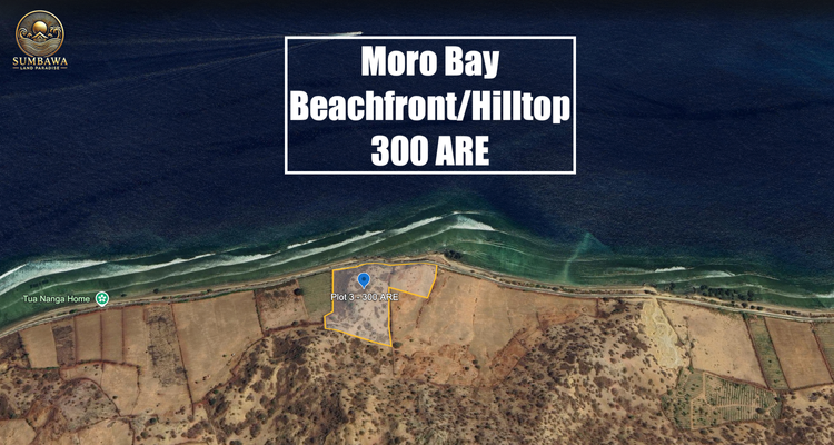 Plot 3 - Kertasari - Moro Bay - Beachfront - 300 ARE