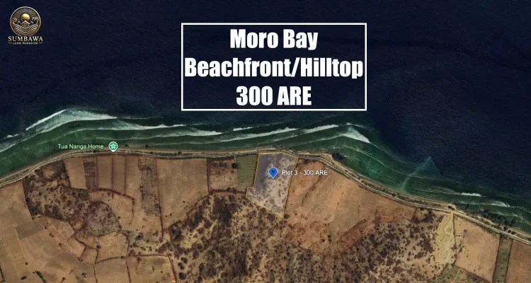 Plot 3 - Kertasari - Moro Bay - Beachfront - 300 ARE