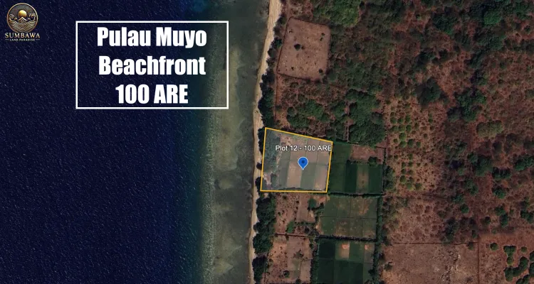 Plot 15 - Pulau Muyo - Beachfront - 100 ARE